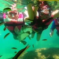 Snorkel